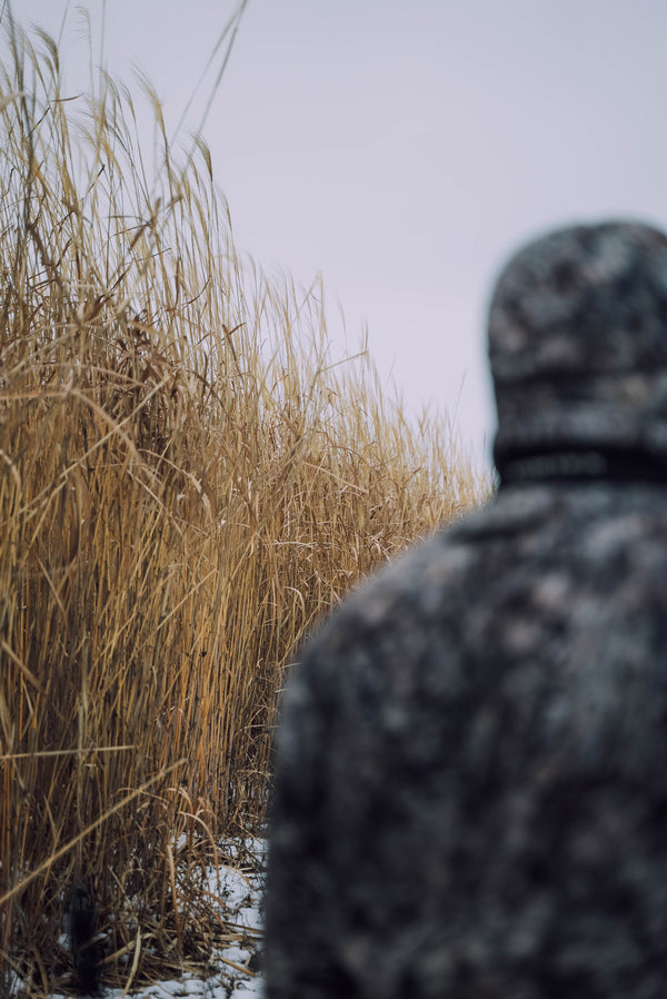 Hunter inspecting line of Real World Giant Miscanthus