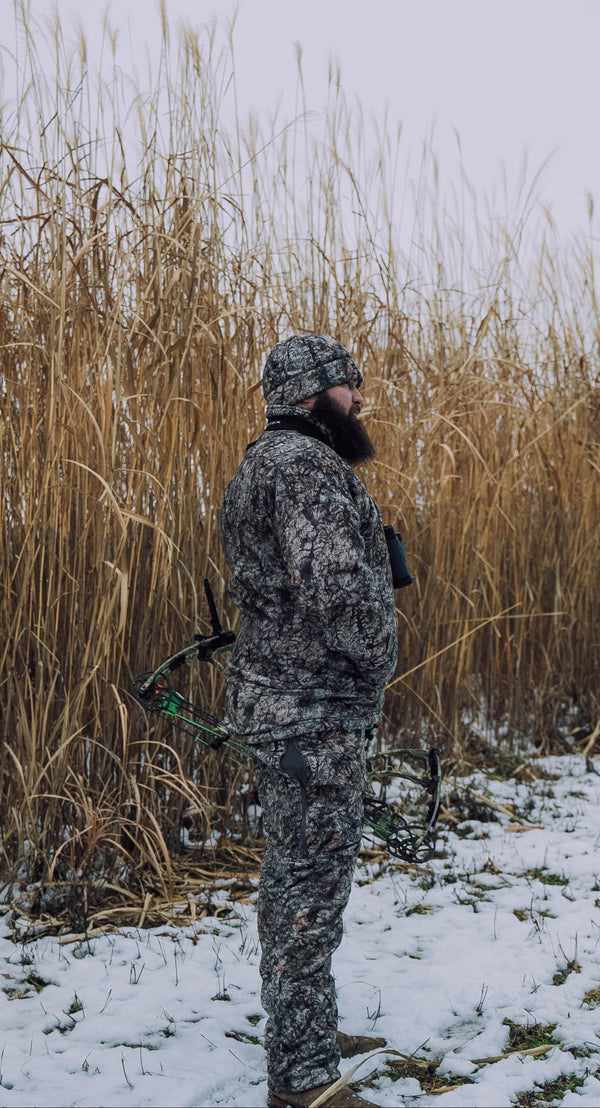 Real World Giant Miscanthus