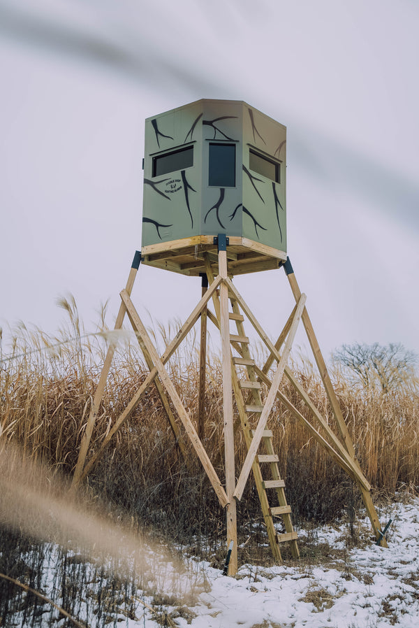 Hunting blind surrounded with Real World Giant Miscanthus