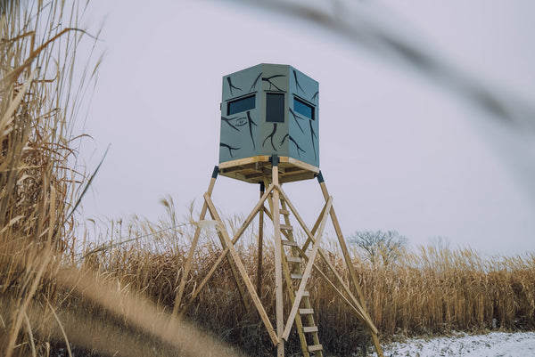 Hunting blind overlooking food plot concealed by Real World Giant Miscanthus