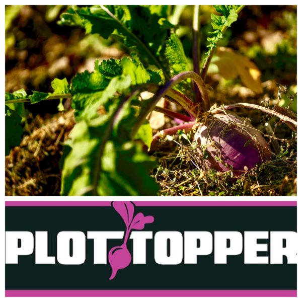 Southern Success Plot Pack - Dixie Dozen + Plot Topper Combo