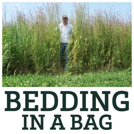 Bedding in a Bag - A Man Standing in Tall Grass