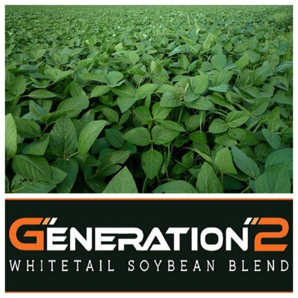 Generation-2 Soybeans