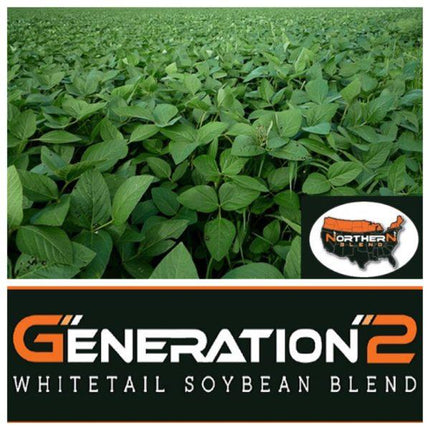 Northern Soybeans