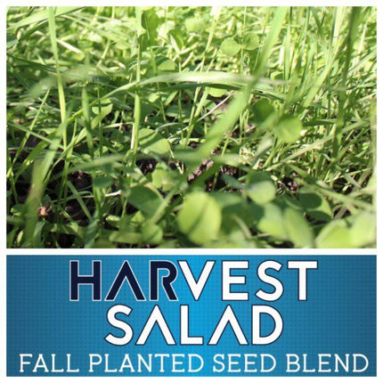 Whitetail Harvest Salad
